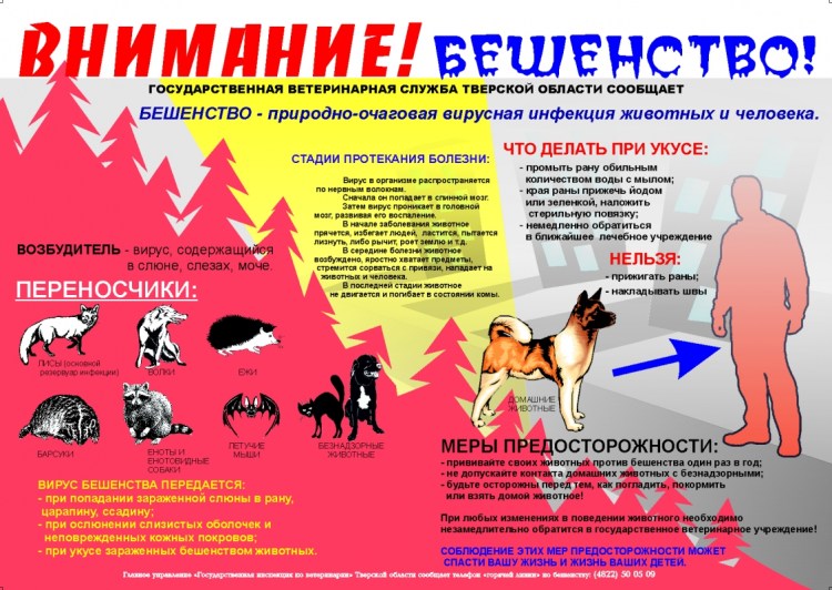 Бешенство памятка