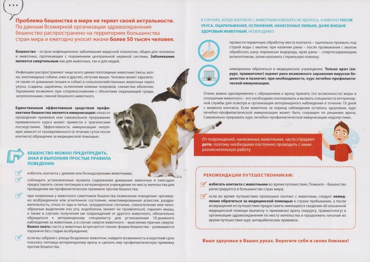 Собака зараженная бешенством