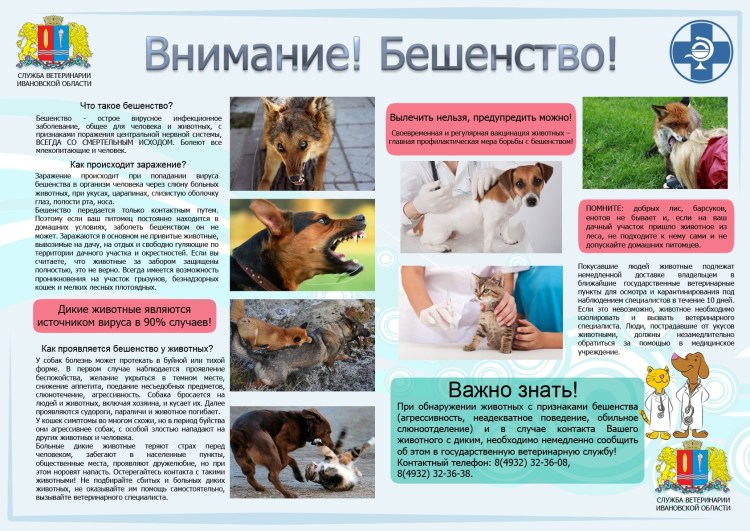 Злая собака