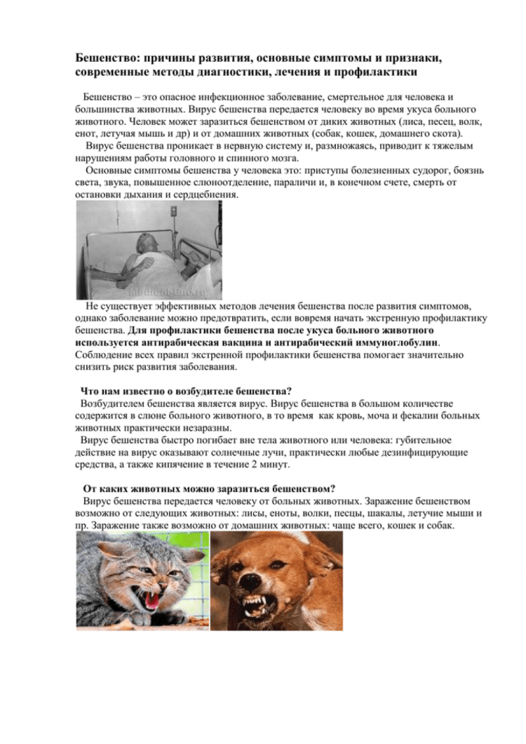 Причины бешенства у человека