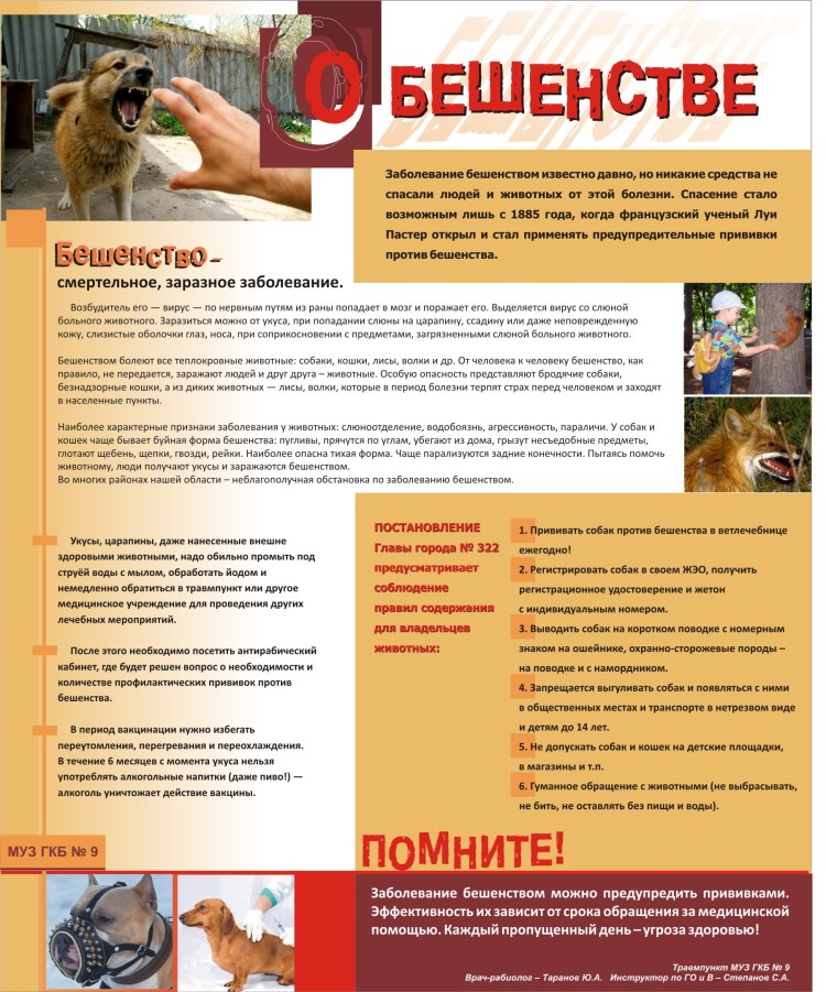 Смерть собаки от бешенства