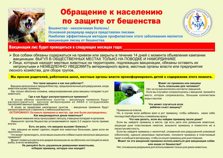 Собака больная бешенством