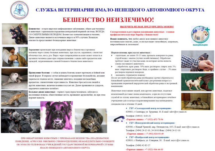 Собака больная бешенством