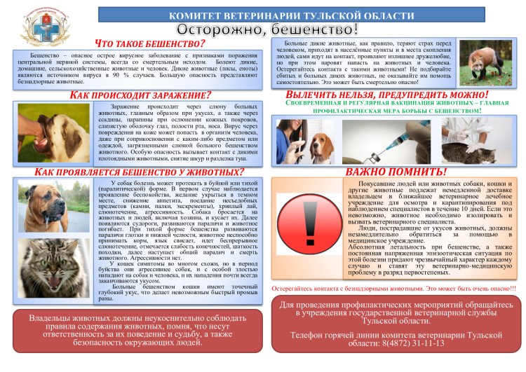 Собаки больные бешенством