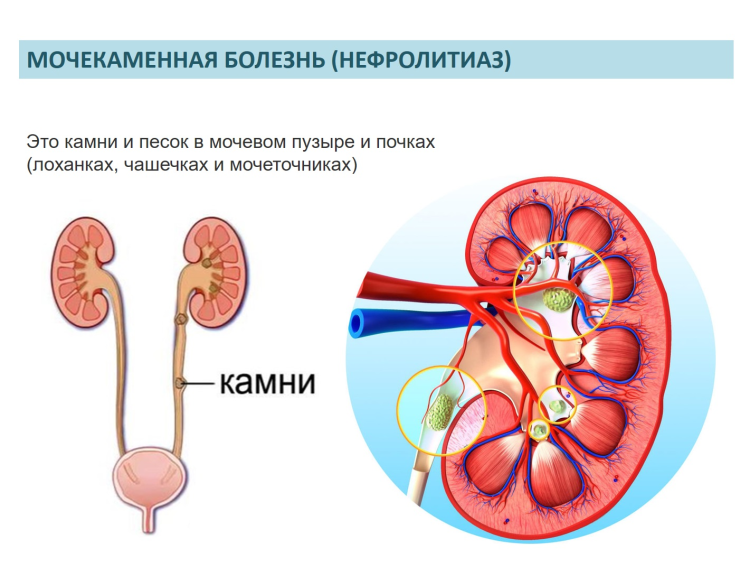 Котэрвин таблетки для кошек