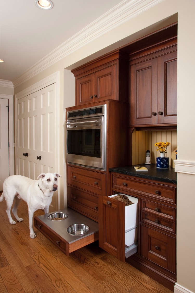 Собака на кухне