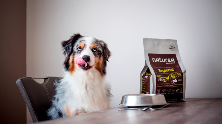 Собачий корм реклама