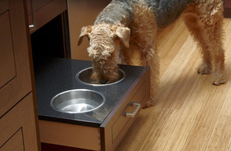 Миски для животных на кухне