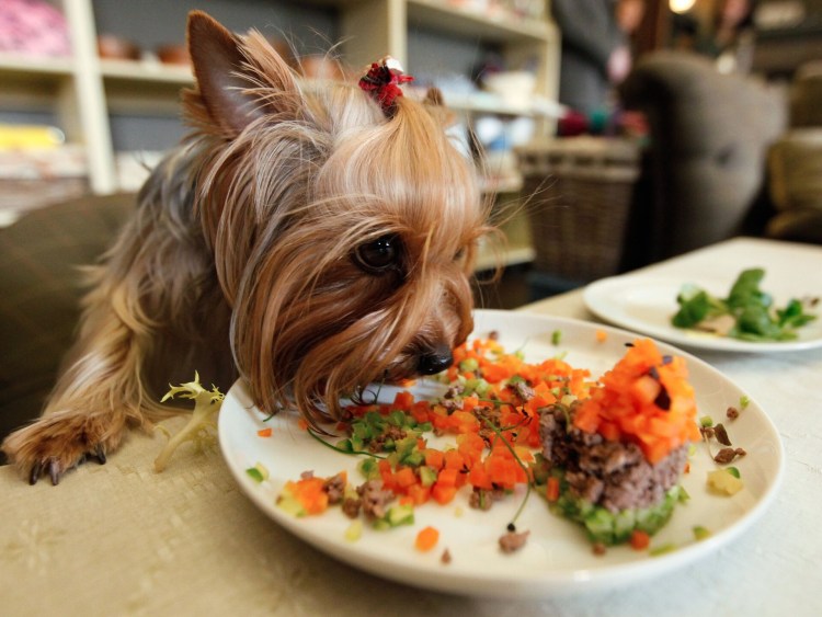 Собака в колпаке повара