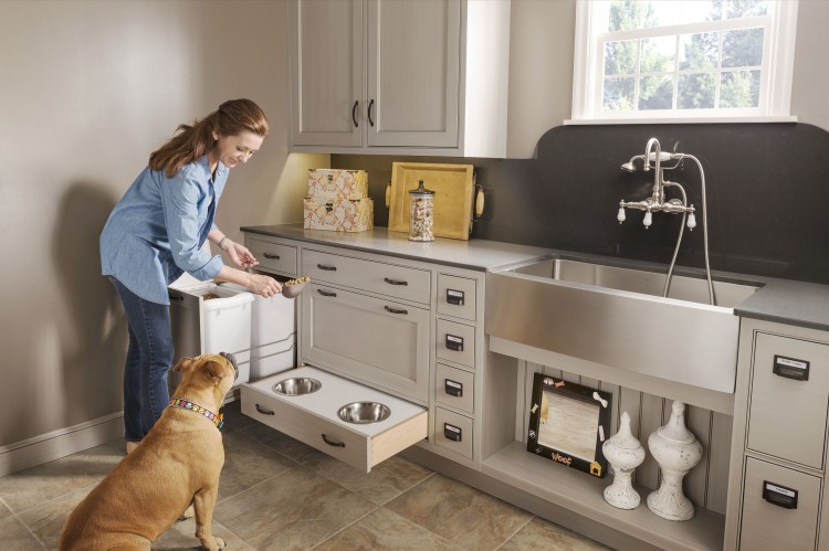 Собака на кухне