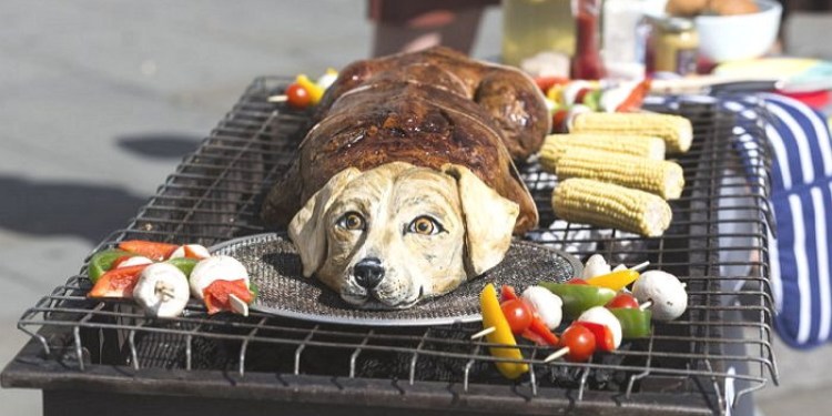 Еда для собак