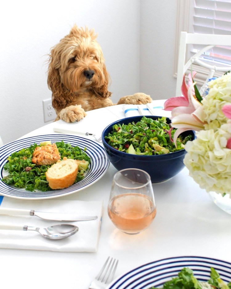 Собака на кухне