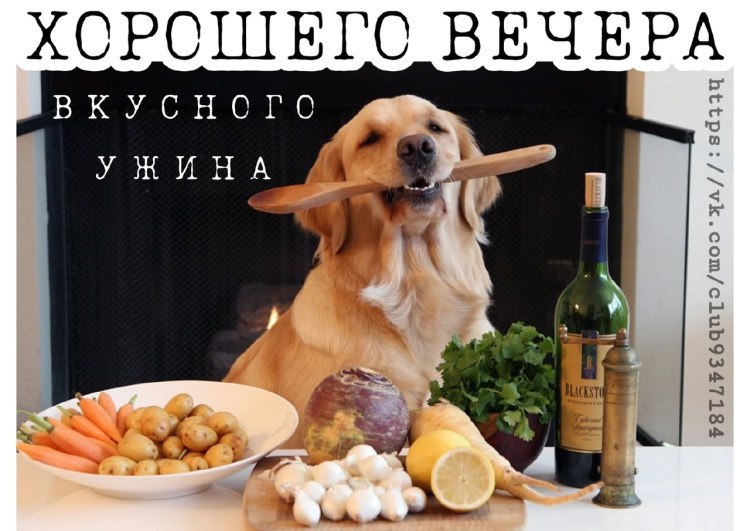 Еда для животных