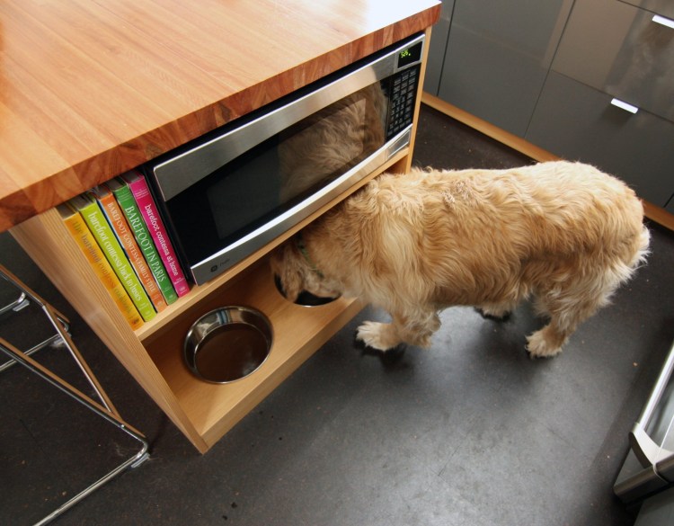 Место для кошки на кухне