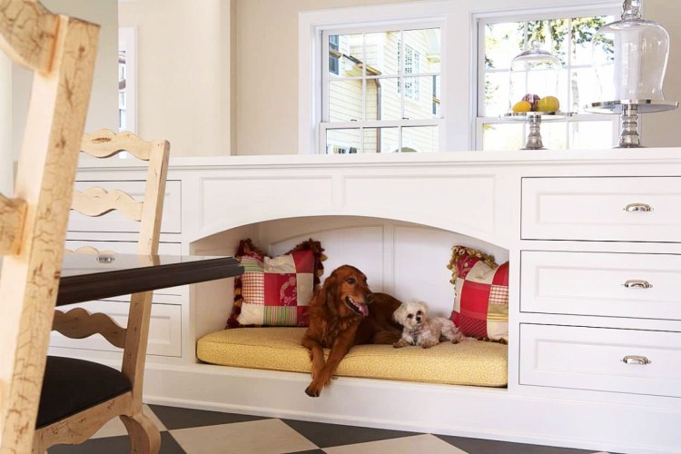 Еда для йоркширского терьера