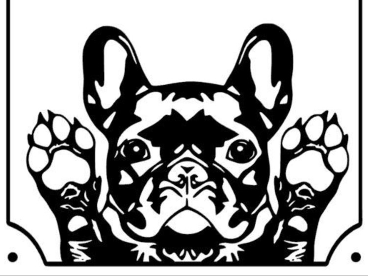 Раскраска французский бульдог