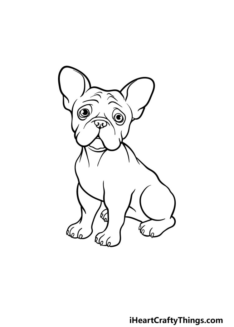 Французский бульдог СВГ