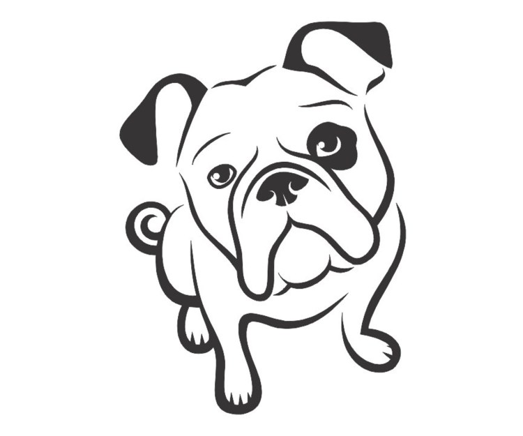 Рисунки для срисовки французский бульдог