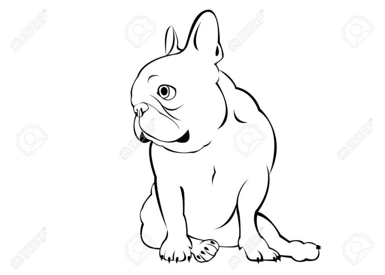 Бульдог эскиз морда