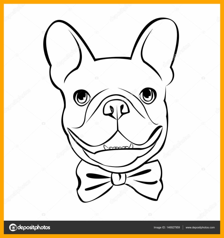 Французский бульдог и косточки фон