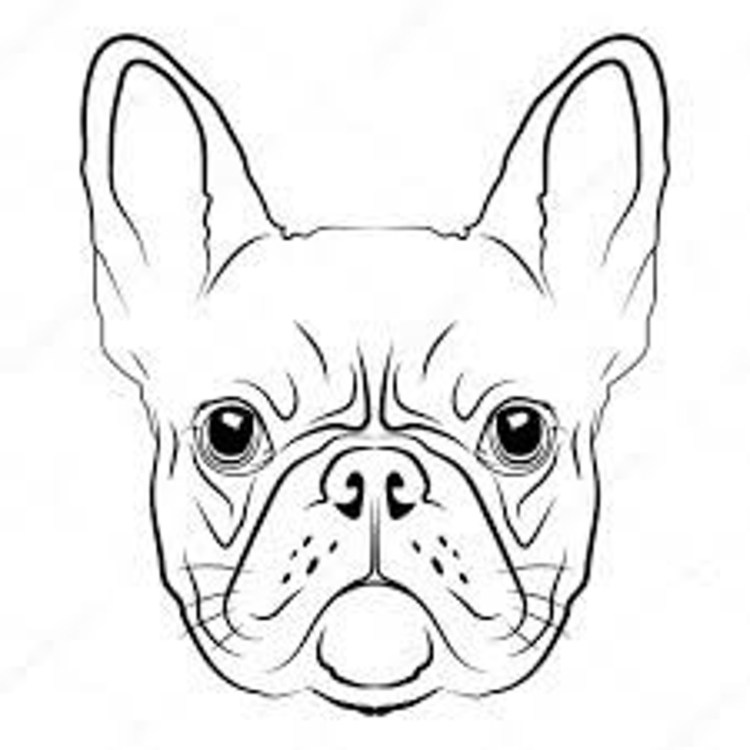 Французский бульдог на скейте