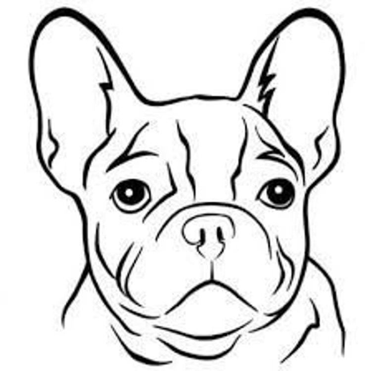 Французский бульдог рисунок