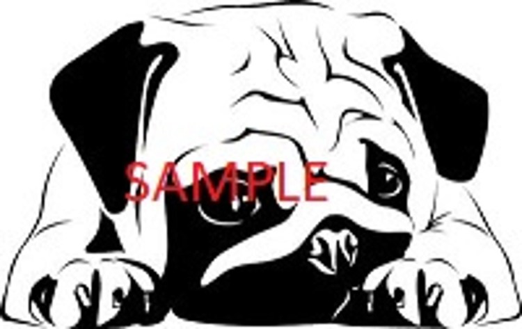 Раскраска собачка французский бульдог