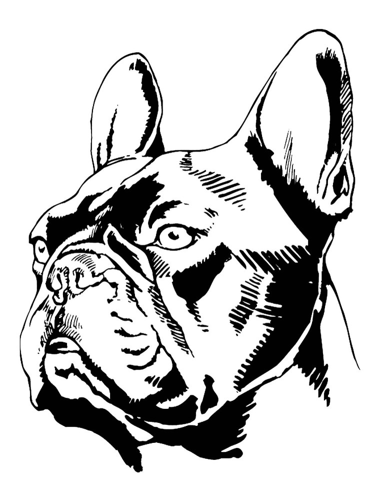 Бульдог по кличке дог рисунок