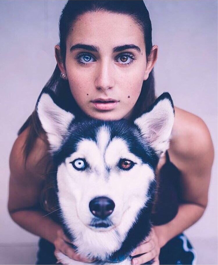 Хаски гетерохромия