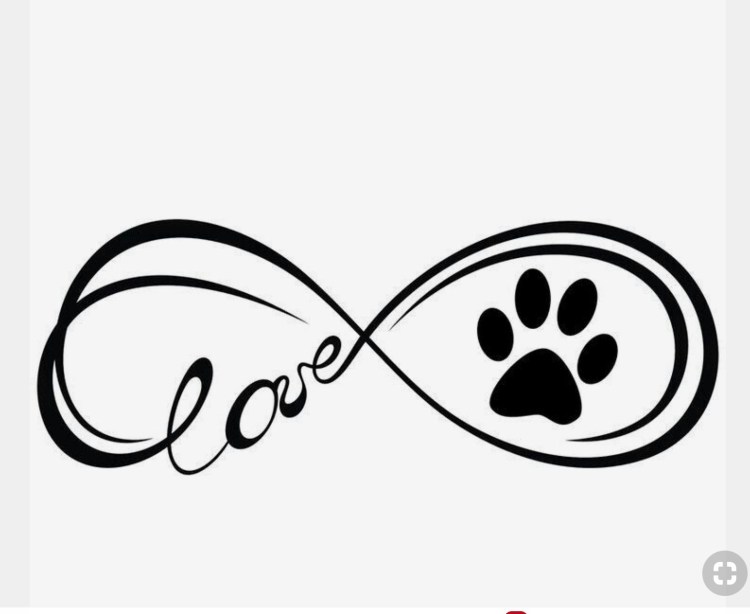 Кошачья лапа отпечаток