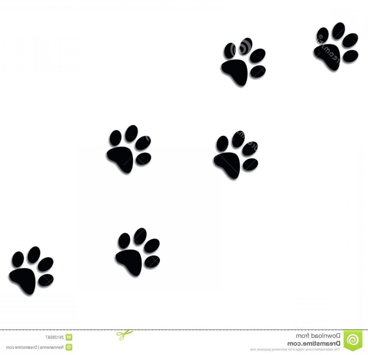 Следы разных животных