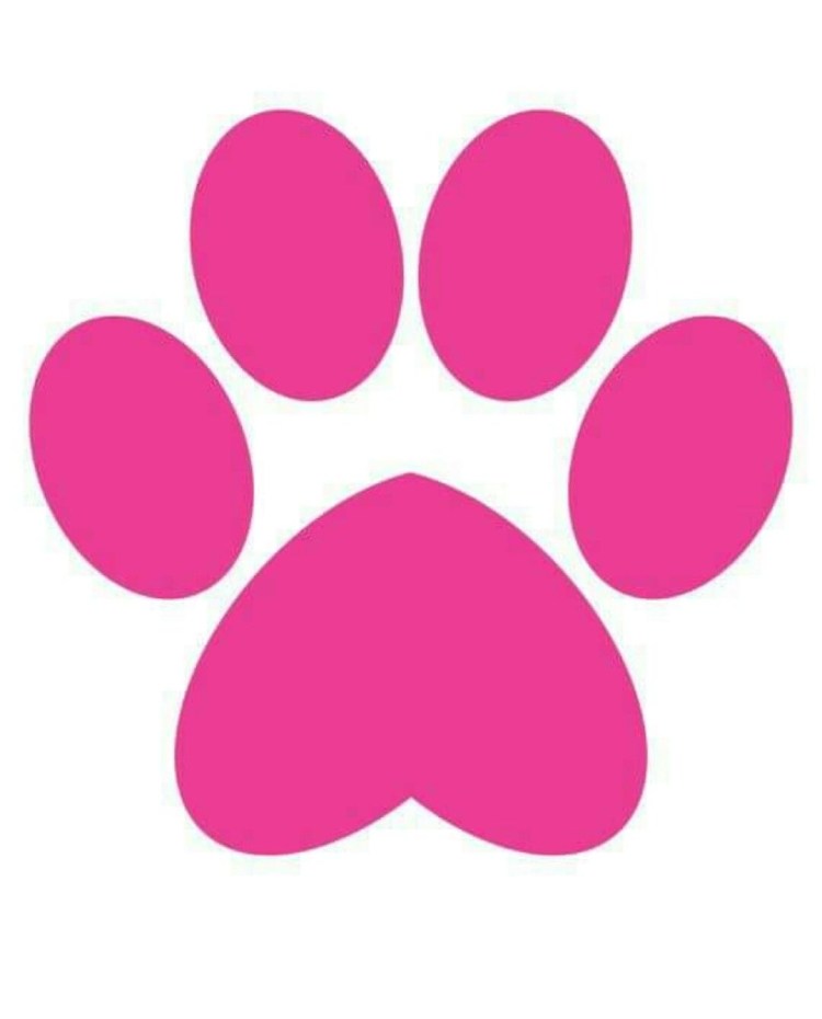 Тату кошачьи лапки