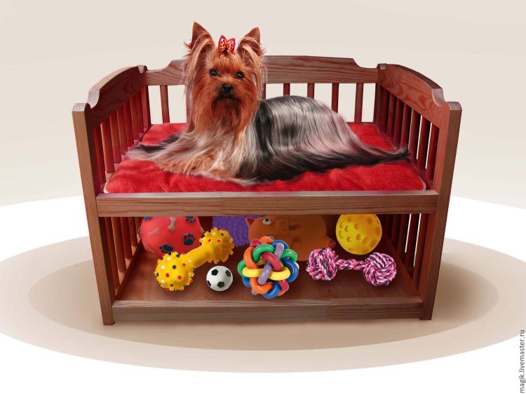 Собака с конурой