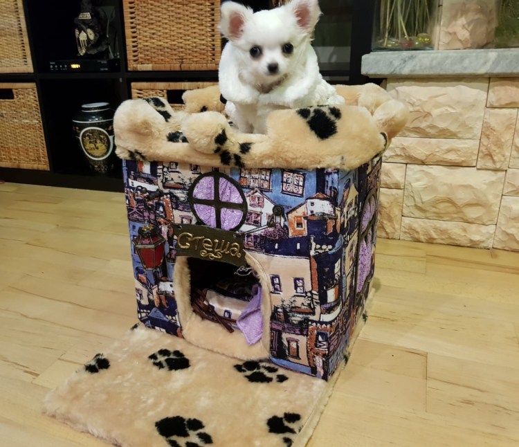 Домик для собаки