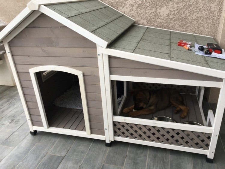 Декоративная собачья будка на даче