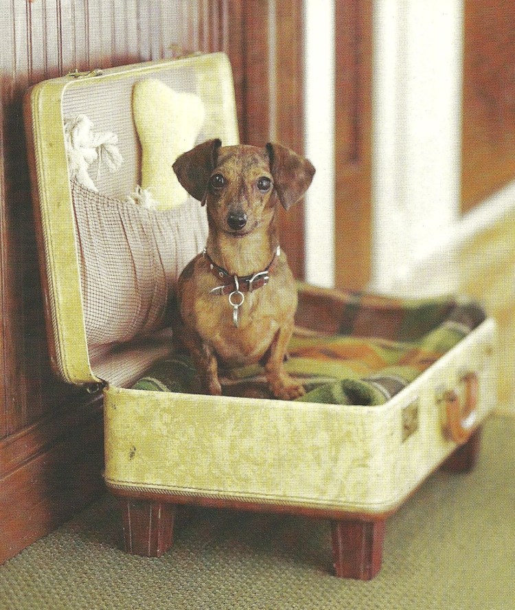 Домик для собак Lion эстрада s 40х35х33 см