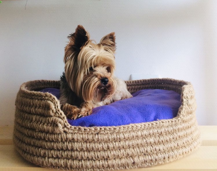 Собачья конура