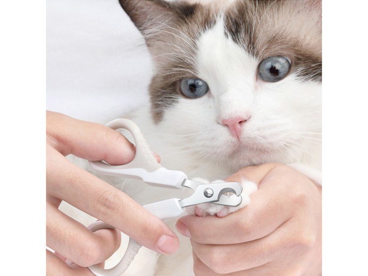 Стрижка когтей у животных