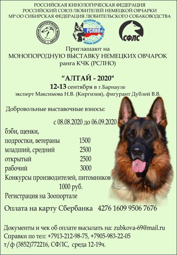 Титулы немецкой овчарки