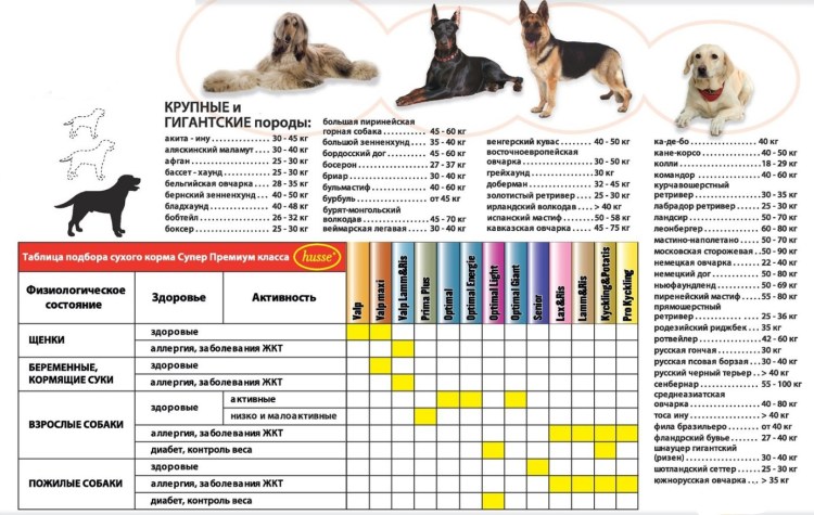 Классификация пород собак по размерам
