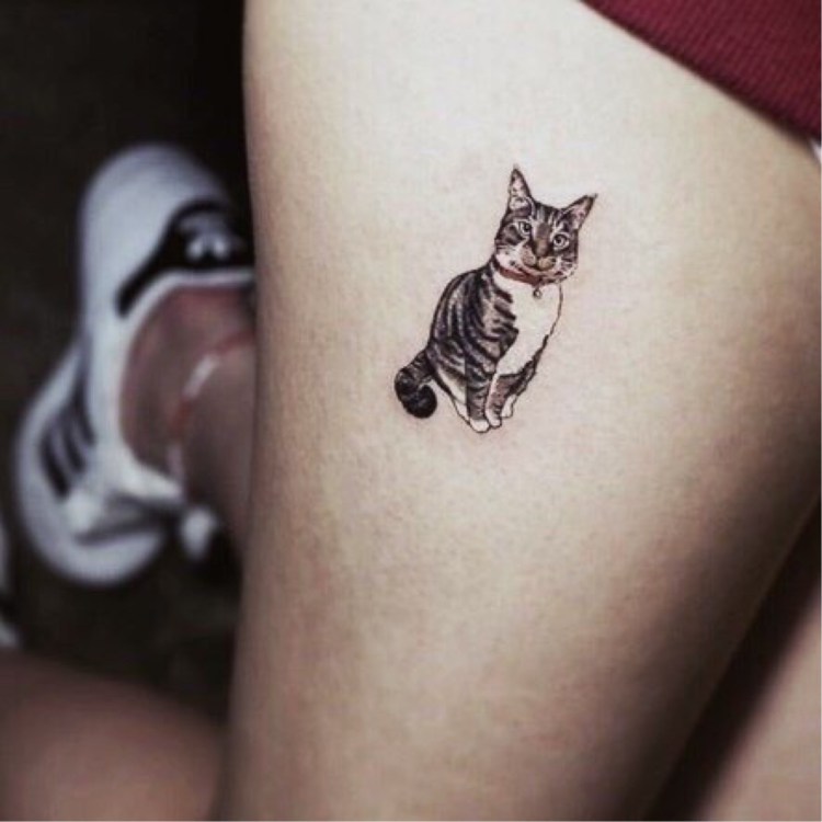 Вирабхадрасана 1 анатомия