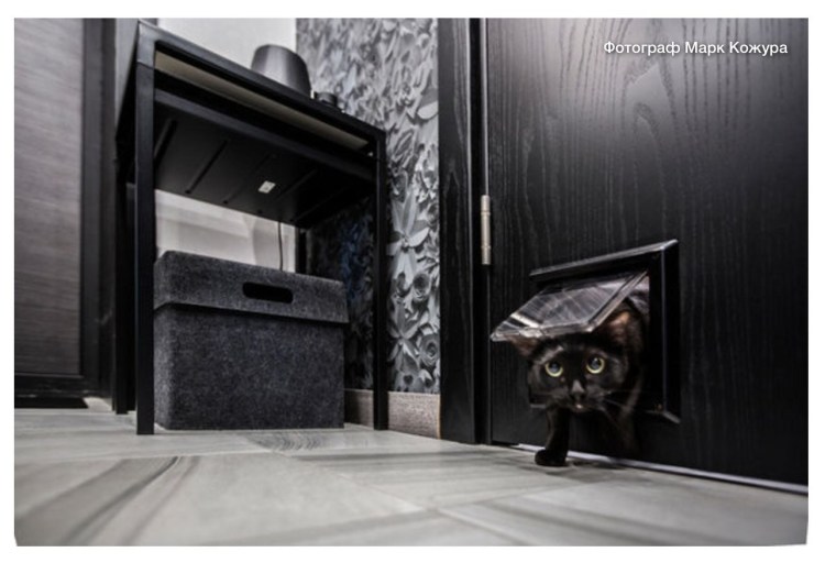 Дверца для кота в двери