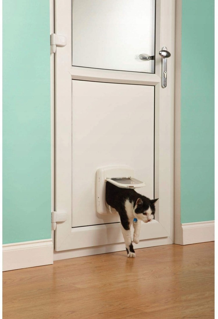 Дверца для кошек в дверь