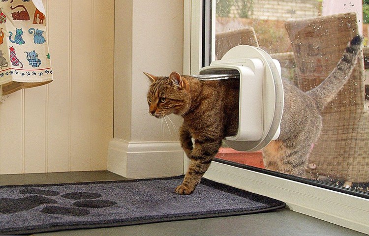 Дверца для кошек