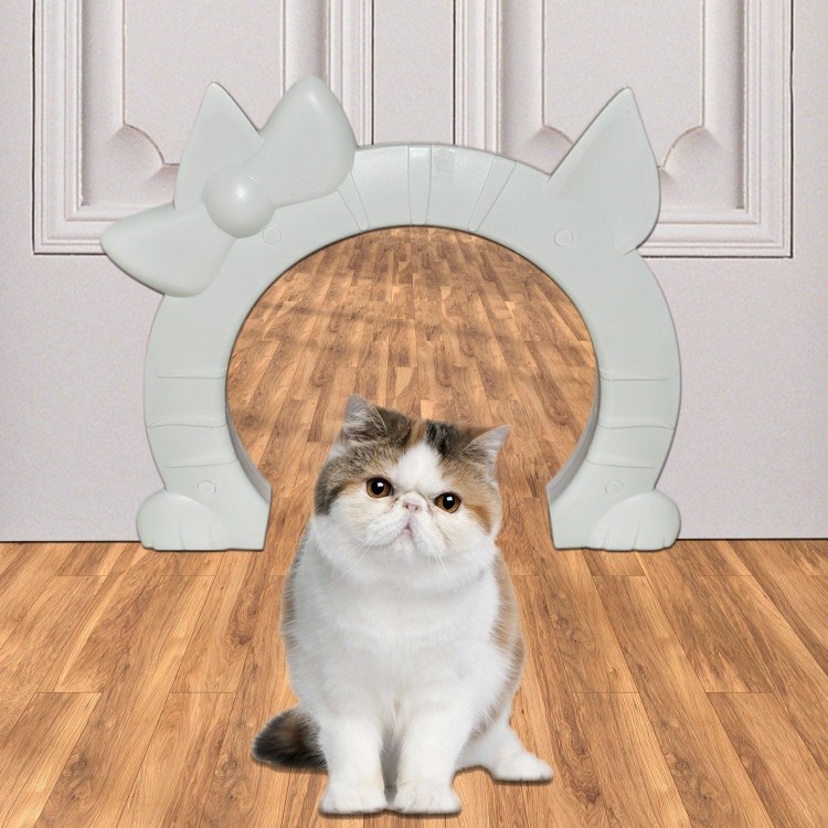 Отверстие в двери для кошки