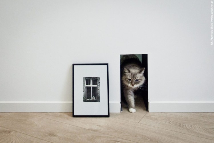 Дверка для кошек