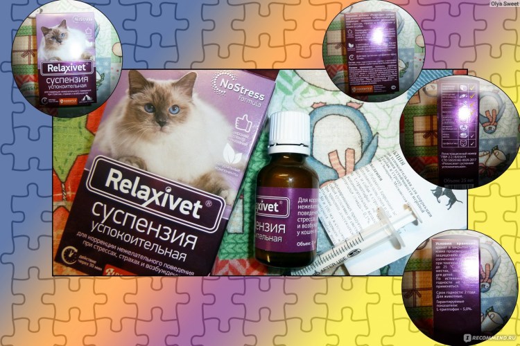 Успокоительное для кошек