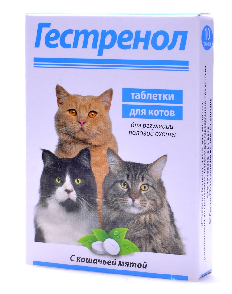 Успокоительное для котов