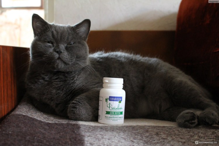 Стоп-стресс плюс капли для кошек, 30 мл