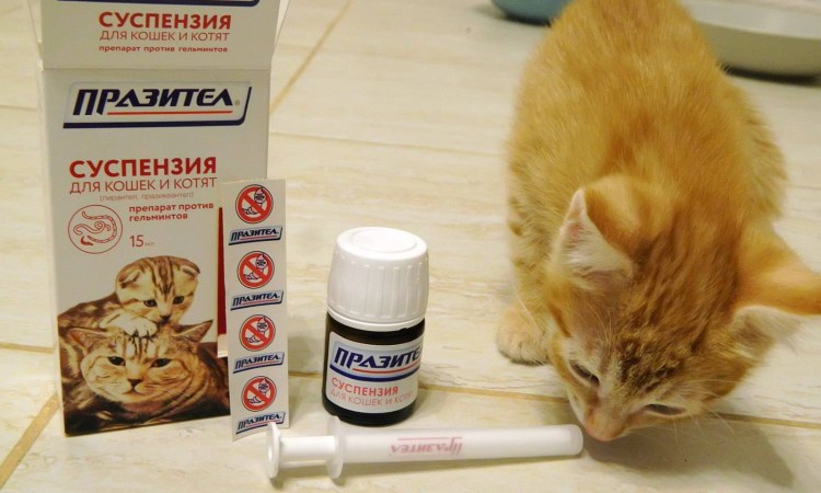 Дехинел табл. Для кошек 230 мг/20 мг, №2